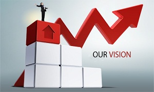 our vision